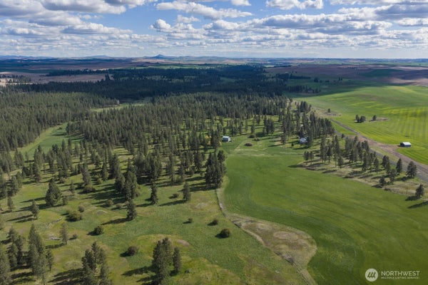 32312 S NORTH PINE CREEK RD, SPANGLE, WA 99031 - Image 7f5f71ea6eea2cc4276e179a5377b813/4031253375