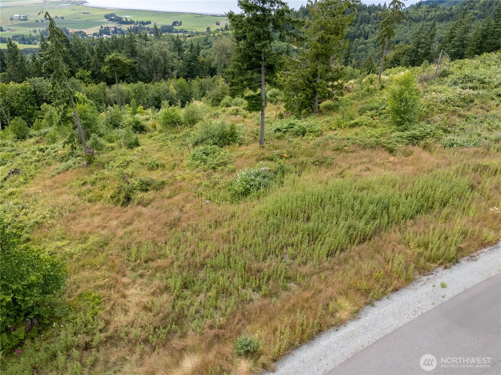3284 Blanchard Knob Trail