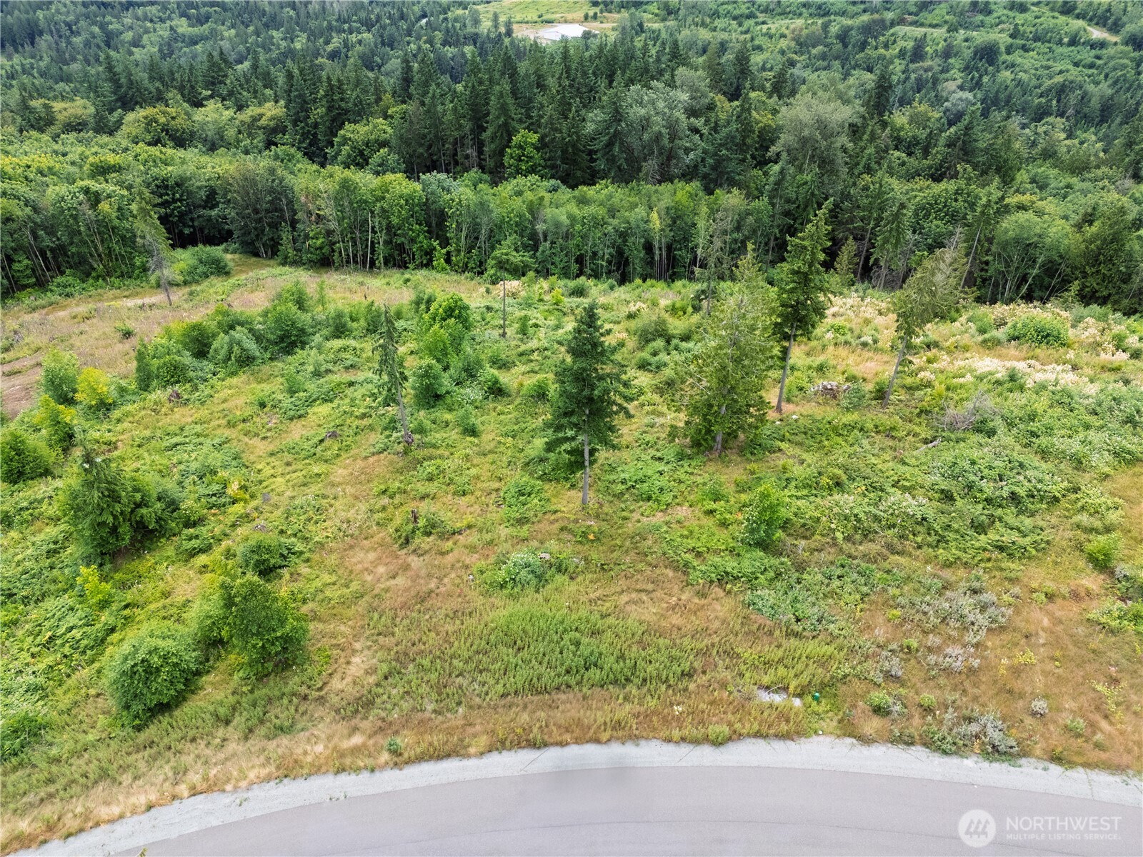 3284 Blanchard Knob Trail