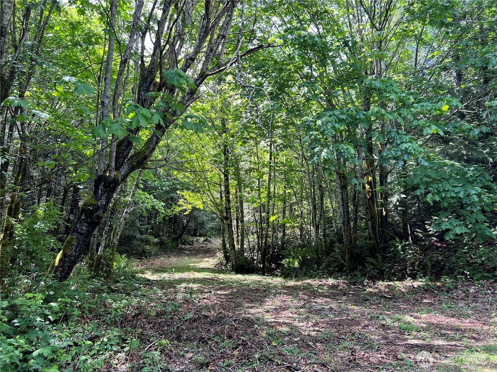 Photo of 1 XXX Juanita Drive, Brinnon, WA 98320 (MLS # 2498990)