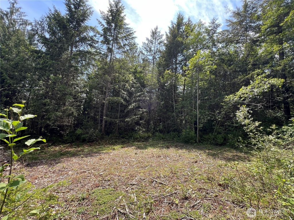 Photo of 1 XXX Juanita Drive, Brinnon, WA 98320 (MLS # 2498990)