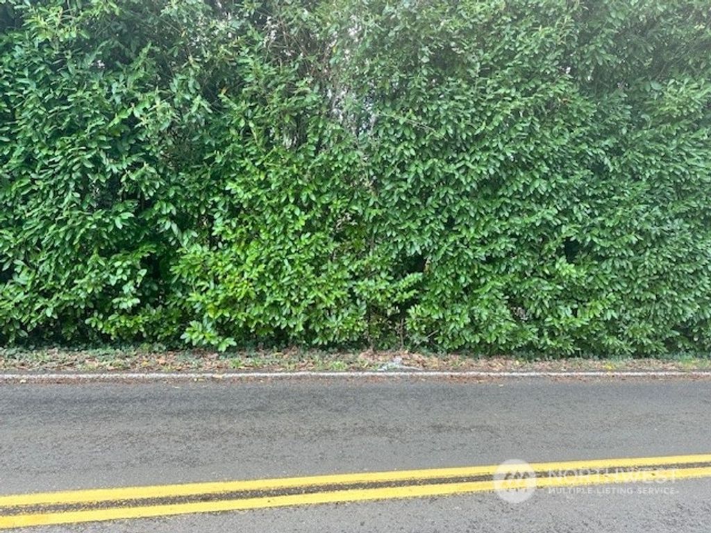 Photo of 46 XX S 150th ST Street, Tukwila, WA 98168 (MLS # 2203902)