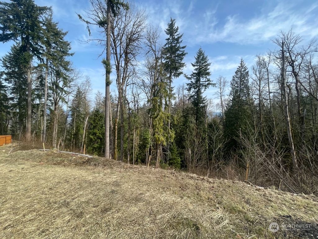 Photo of 17845 Cougar Mountain Road SE, Bellevue, WA 98006 (MLS # 2188099)