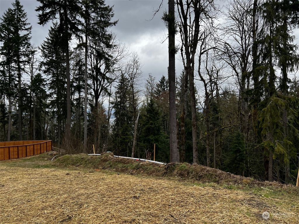 Photo of 17845 Cougar Mountain Road SE, Bellevue, WA 98006 (MLS # 2188099)