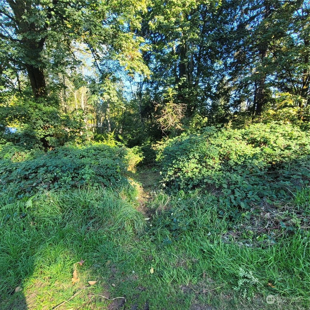 Photo of 13336 186th Avenue SE, Renton, WA 98059 (MLS # 2177162)