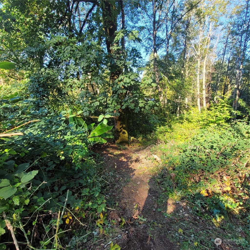 Photo of 13336 186th Avenue SE, Renton, WA 98059 (MLS # 2177162)