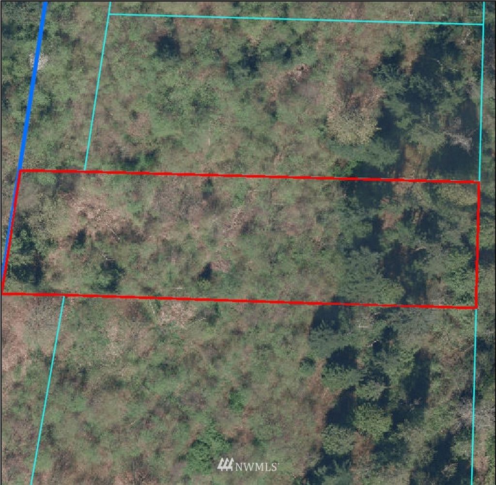 Photo of 31 XX S 312th Street, Federal Way, WA 98003 (MLS # 1796705)