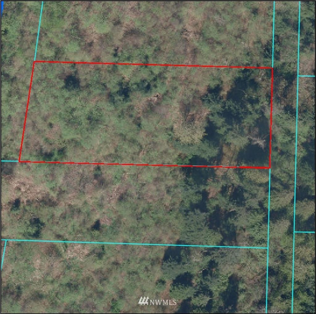 Photo of 31 XX S 312th Street, Federal Way, WA 98003 (MLS # 1796705)