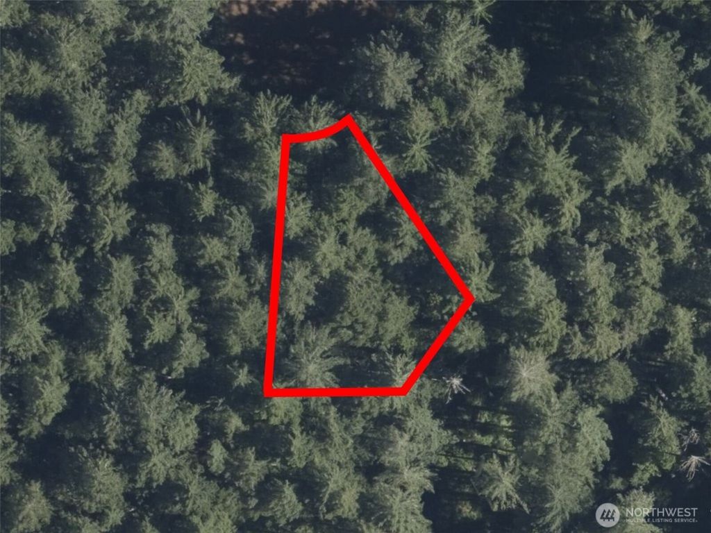 Photo of 12914 E 101st Street Ct, Anderson Island, WA 98303 (MLS # 2461710)