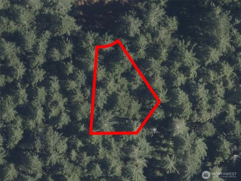 12914 E 101st Street Ct Anderson Island WA 98303