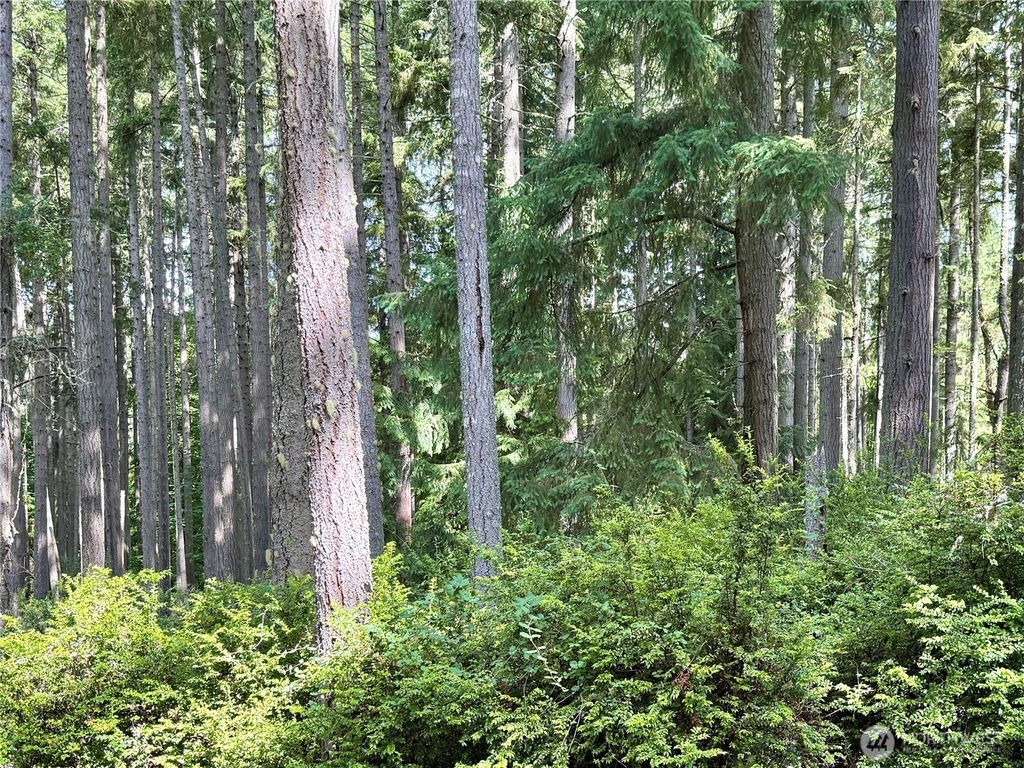 Photo of 12914 E 101st Street Ct, Anderson Island, WA 98303 (MLS # 2461710)