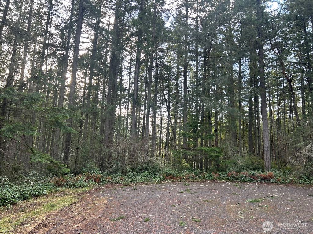 Photo of 12914 E 101st Street Ct, Anderson Island, WA 98303 (MLS # 2461710)