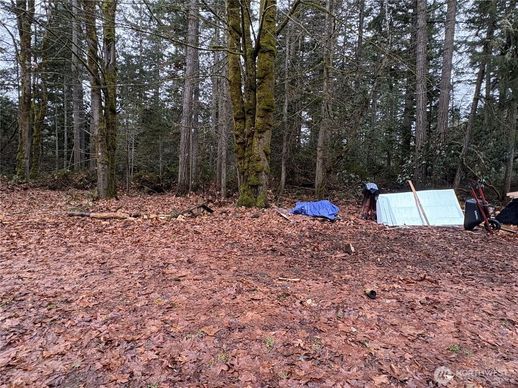 Photo of 33 W Go-Onna Drive, Quilcene, WA 98376 (MLS # 2463075)