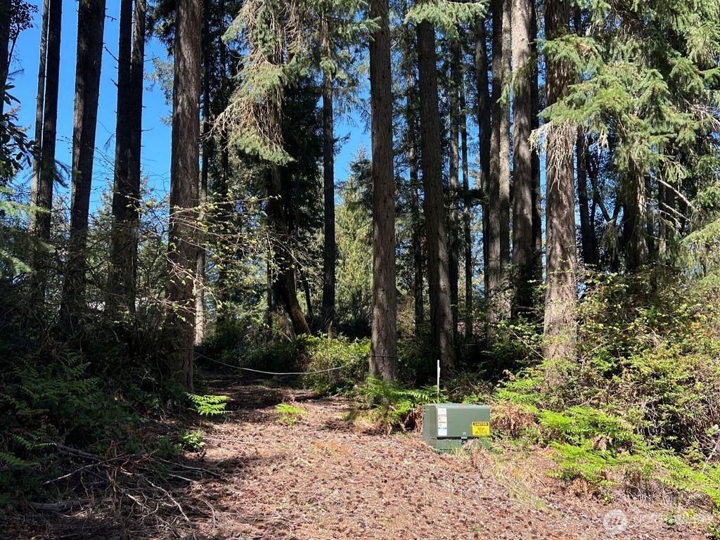 Photo of 11410 103rd Street, Anderson Island, WA 98303 (MLS # 2514396)