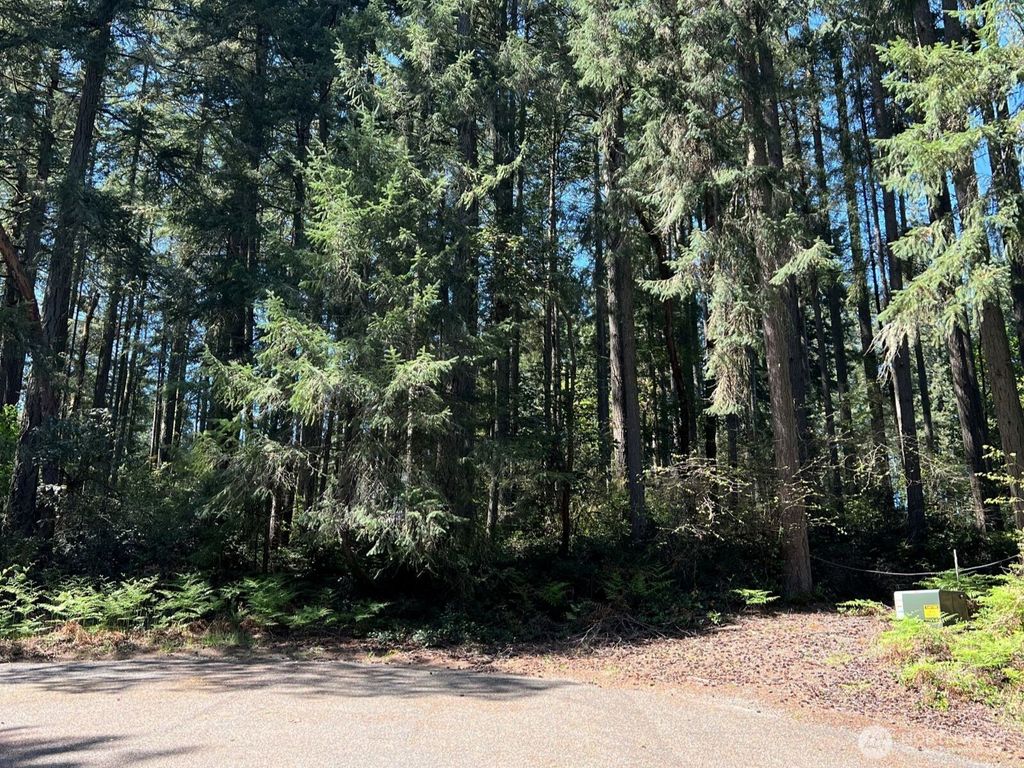 Photo of 11410 103rd Street, Anderson Island, WA 98303 (MLS # 2514396)