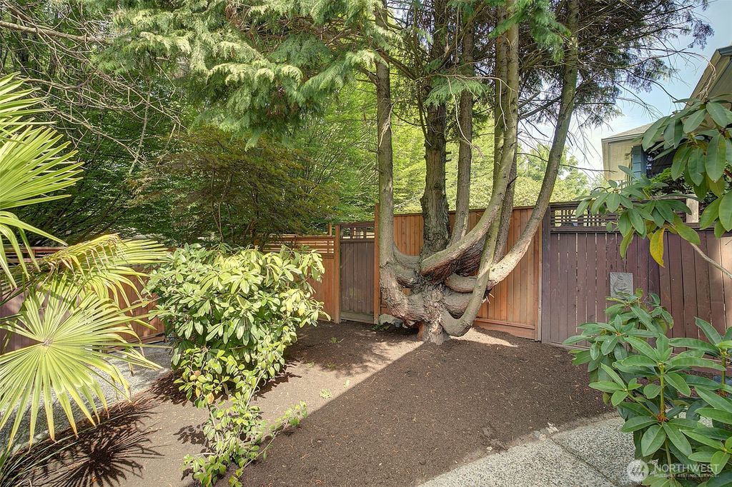 Photo of 8222 35th Avenue SW, Seattle, WA 98126 (MLS # 2401709)