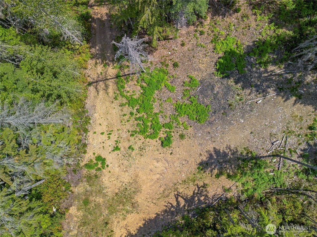 Photo of 905 NE Tahuya Blacksmith Road, Tahuya, WA 98588 (MLS # 2495280)