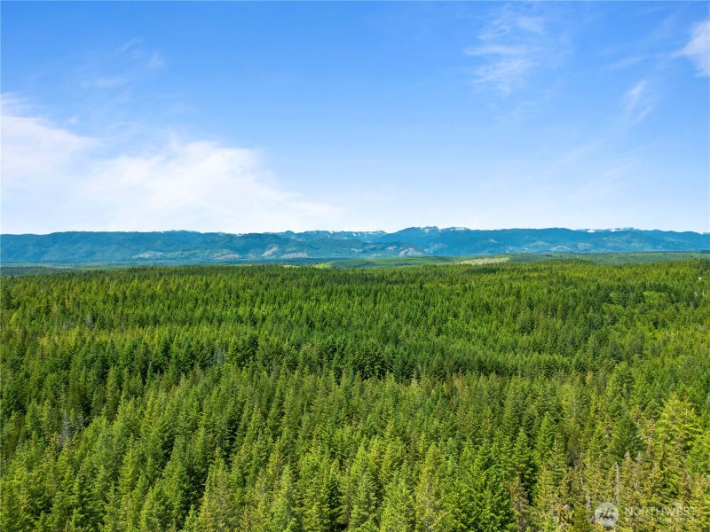 905 NE Tahuya Blacksmith Road