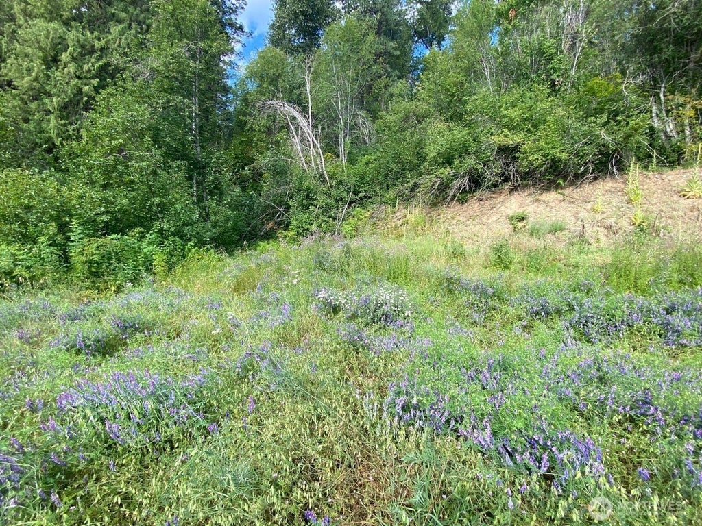 Photo of 7 lot Kuhuku Court, Cle Elum, WA 98922 (MLS # 2556917)
