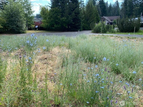 Photo of 7 lot Kuhuku Court, Cle Elum, WA 98922 (MLS # 2556917)