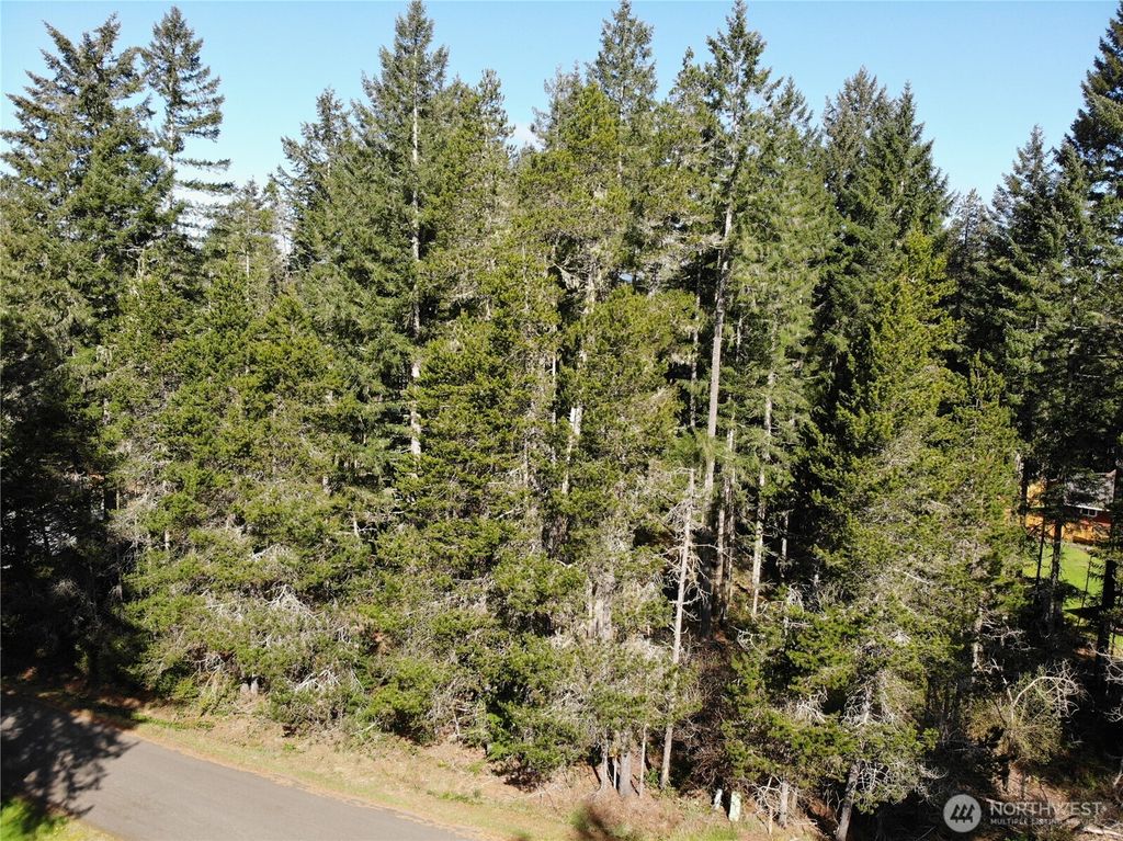 Photo of 41 N Varden Way, Hoodsport, WA 98548 (MLS # 2515033)
