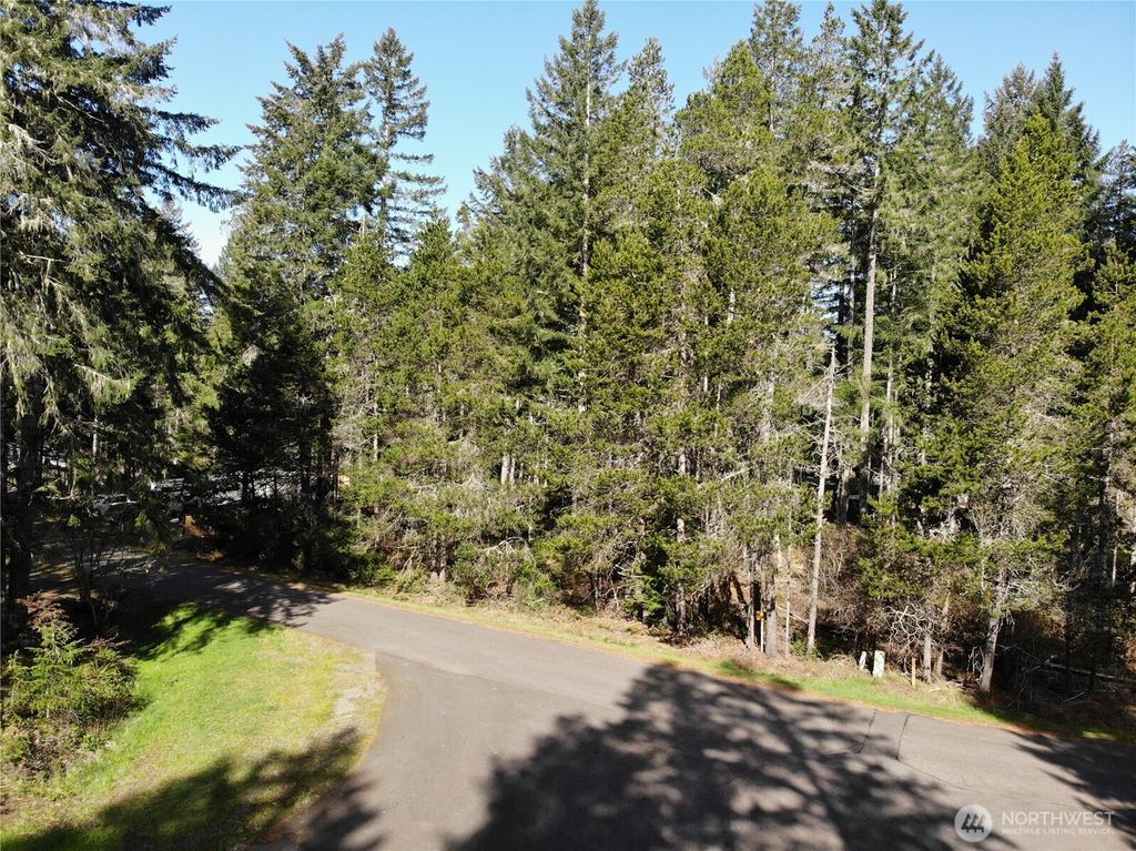 Photo of 41 N Varden Way, Hoodsport, WA 98548 (MLS # 2515033)
