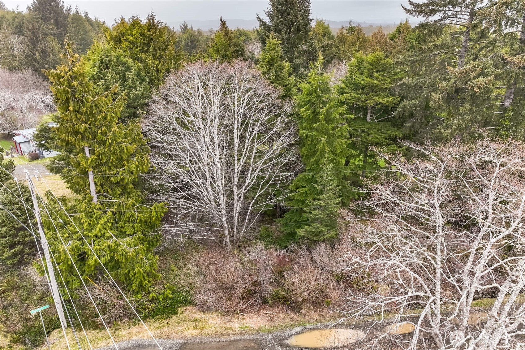 4592 State Route 109