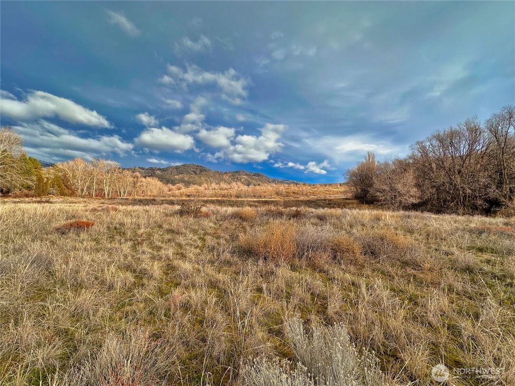 Photo of 409 TBD Eastlake Road, Oroville, WA 98844 (MLS # 2490955)