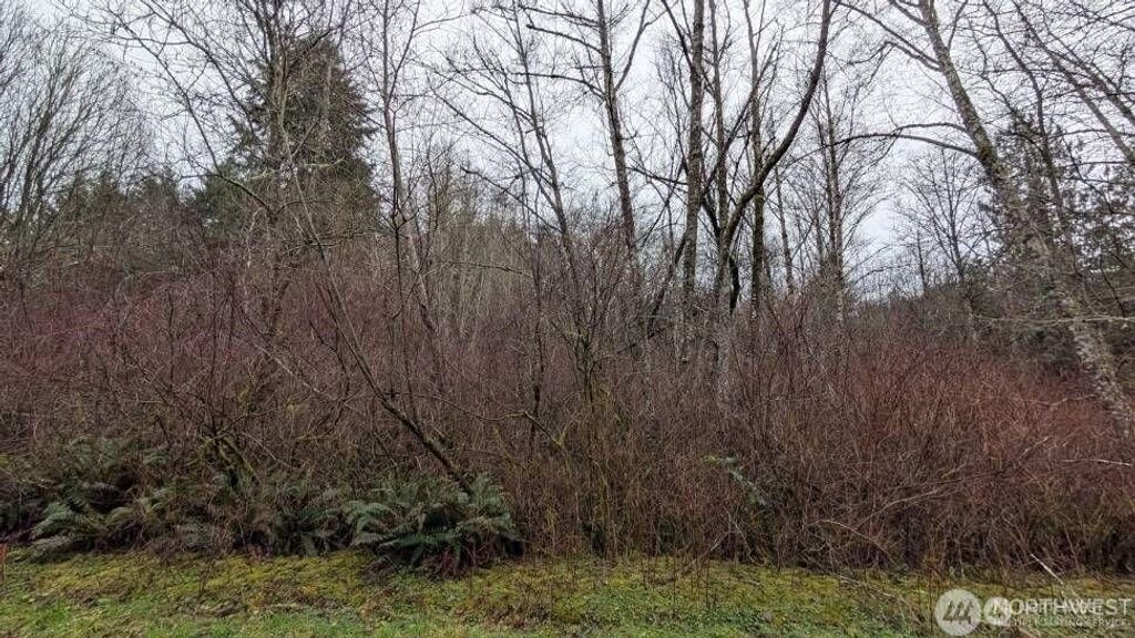 Photo of 0 NE Lovgreen Road, Bainbridge Island, WA 98110 (MLS # 2522172)