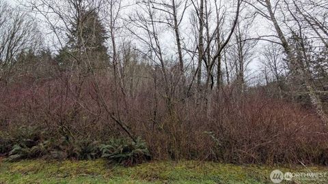 Photo of 0 NE Lovgreen Road, Bainbridge Island, WA 98110 (MLS # 2522172)