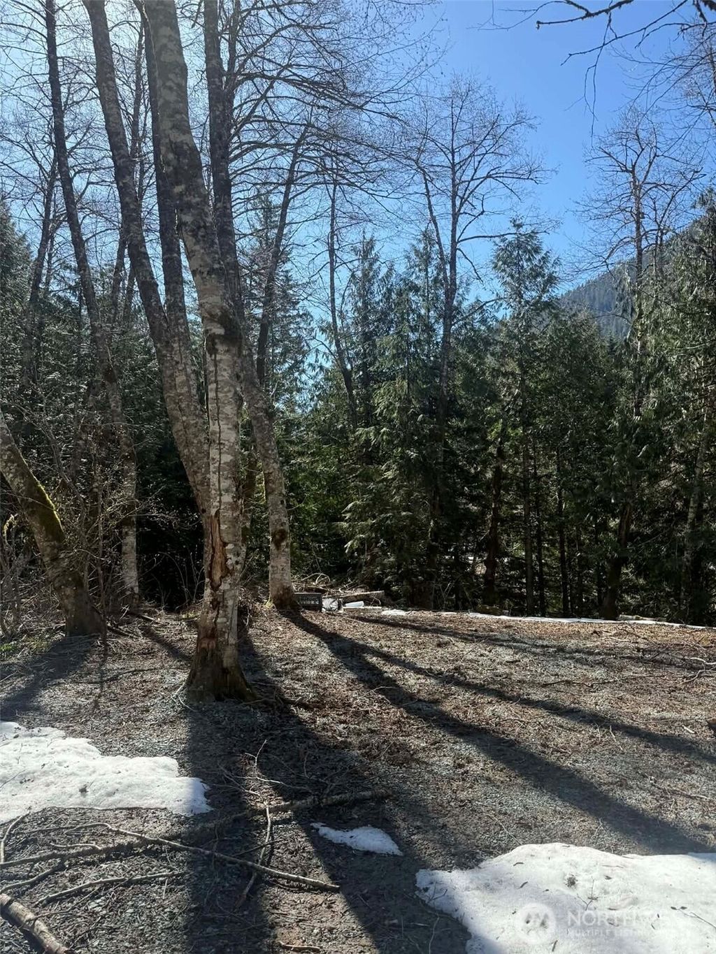 Photo of 87236 NE Old Cascade Highway, Skykomish, WA 98288 (MLS # 2506248)