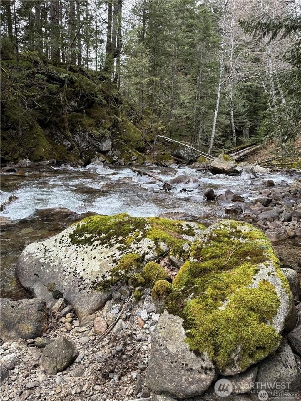 Photo of 87236 NE Old Cascade Highway, Skykomish, WA 98288 (MLS # 2506248)