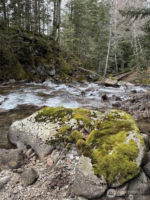 Photo of 87236 NE Old Cascade Highway, Skykomish, WA 98288 (MLS # 2506248)