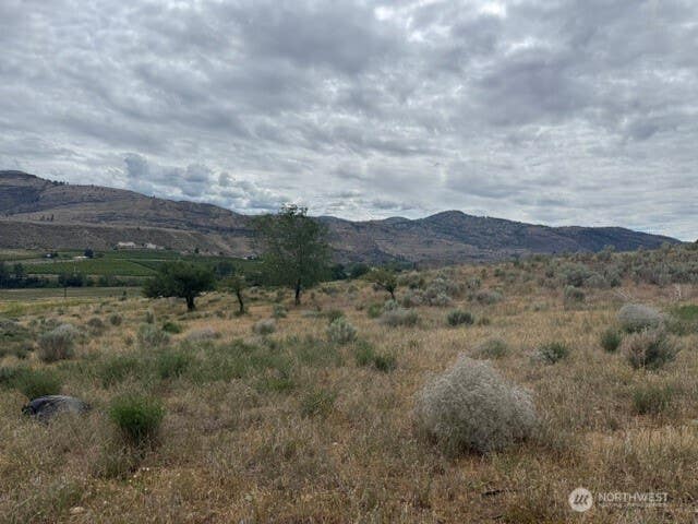Photo of 111 TBD HWY 7, Tonasket, WA 98855 (MLS # 2546475)
