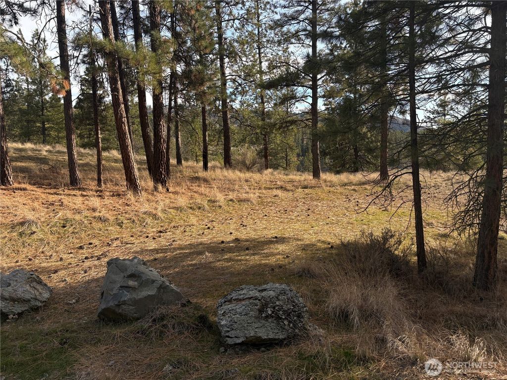 Photo of 2 Mist Lake Road, Tonasket, WA 98855 (MLS # 2486018)