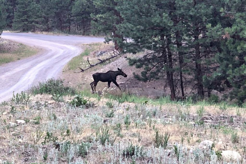 Photo of 2 Mist Lake Road, Tonasket, WA 98855 (MLS # 2486018)