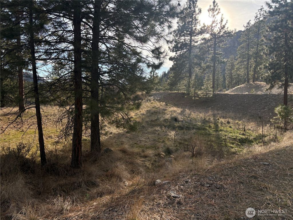 Photo of 2 Mist Lake Road, Tonasket, WA 98855 (MLS # 2486018)