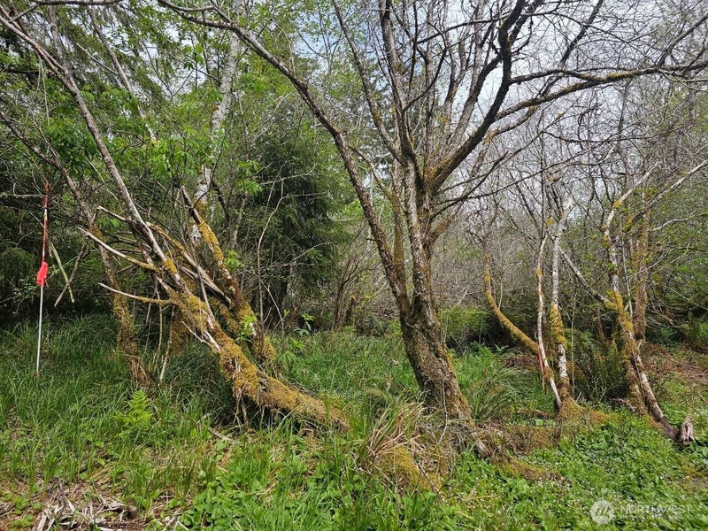 0 Larkin Road