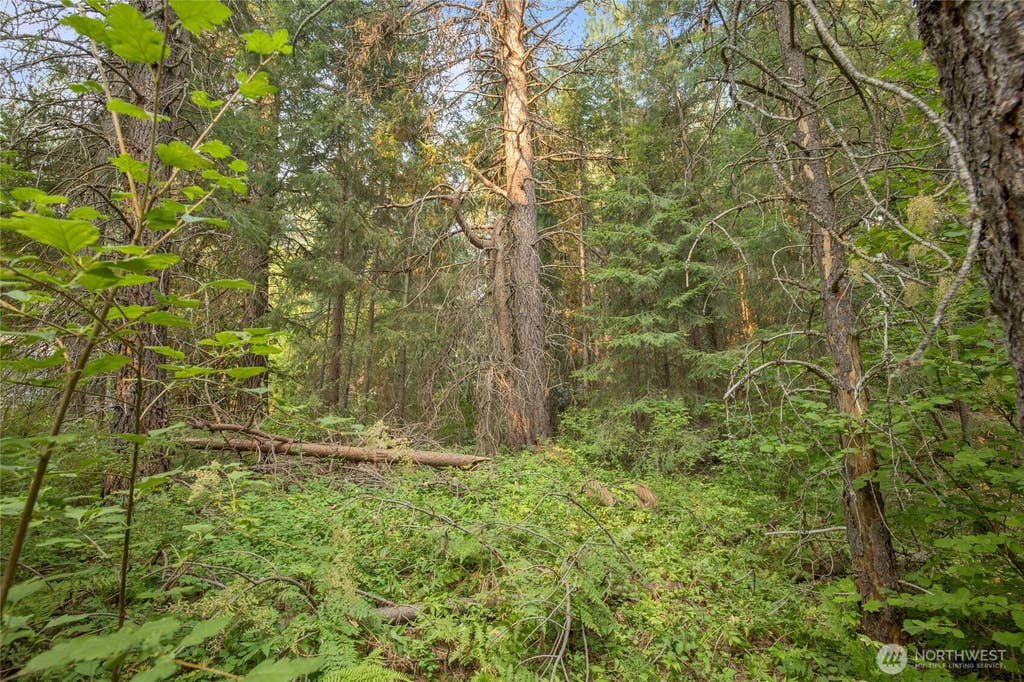 Photo of 1 Oakmont DR, Cle Elum, WA 98922 (MLS # 2571060)