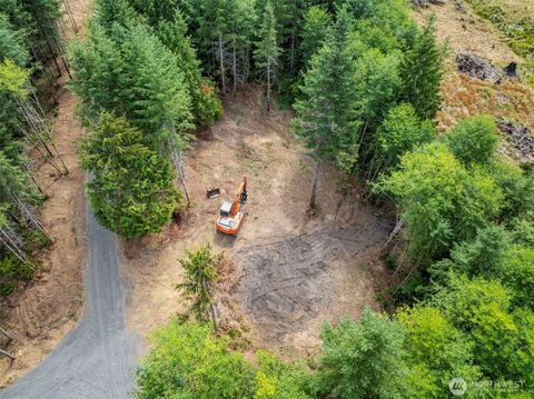 Photo of 224 Durins Place, Castle Rock, WA 98611 (MLS # 2496321)