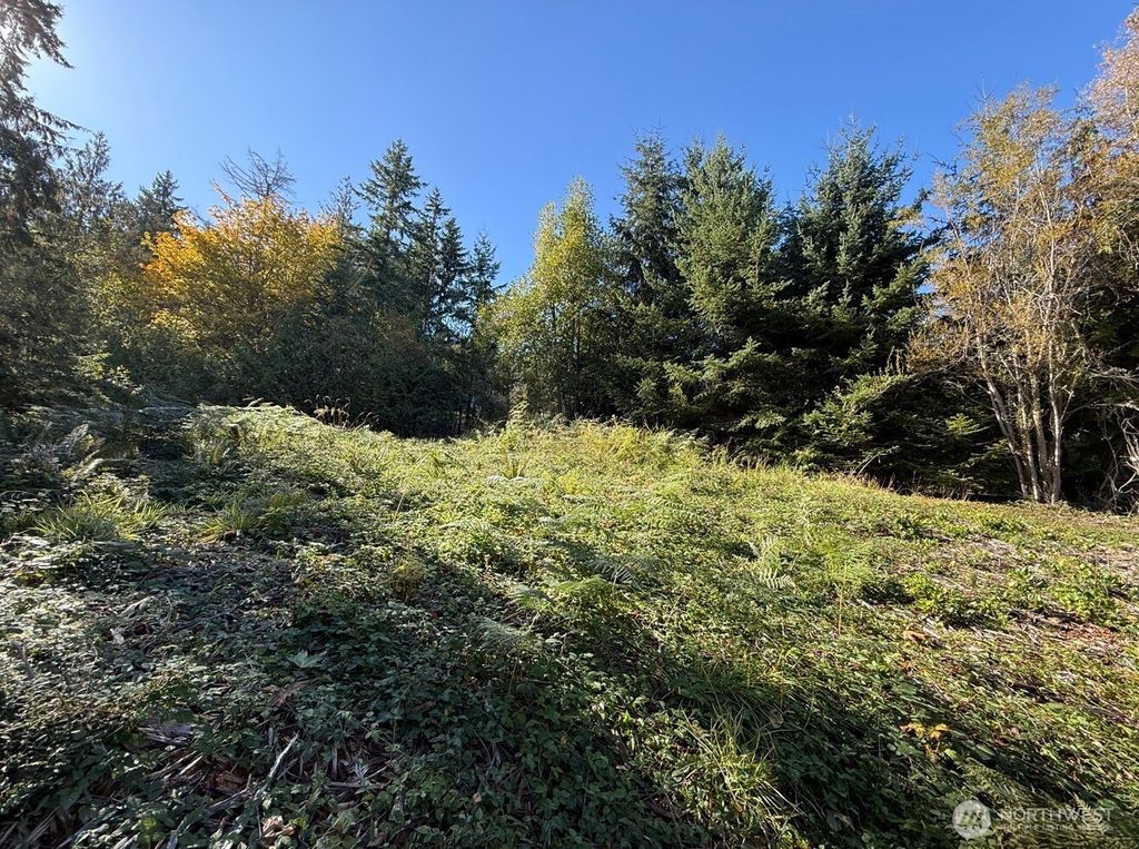 Photo of 0 Chelsamish Drive, Sequim, WA 98382 (MLS # 2486109)