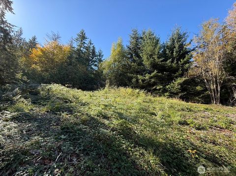 0 Chelsamish Drive Sequim WA 98382