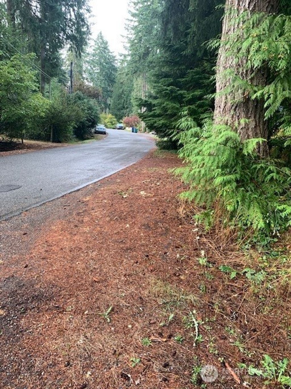Photo of 3539 278th Place NE, Redmond, WA 98053 (MLS # 2439793)