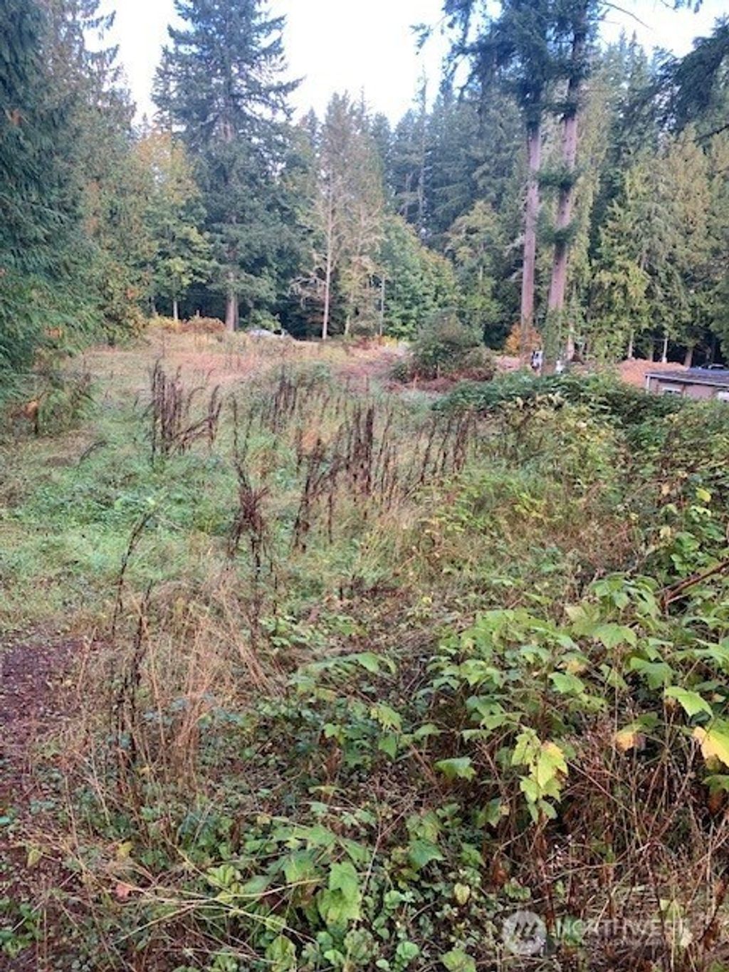 Photo of 3539 278th Place NE, Redmond, WA 98053 (MLS # 2439793)