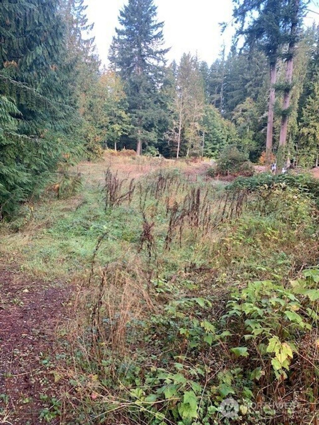 Photo of 3539 278th Place NE, Redmond, WA 98053 (MLS # 2439793)