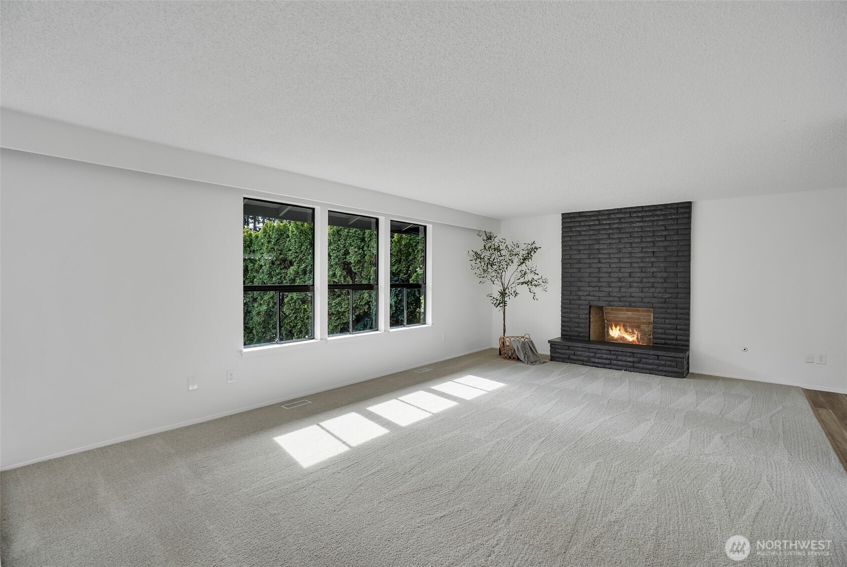 7016 Homestead Court