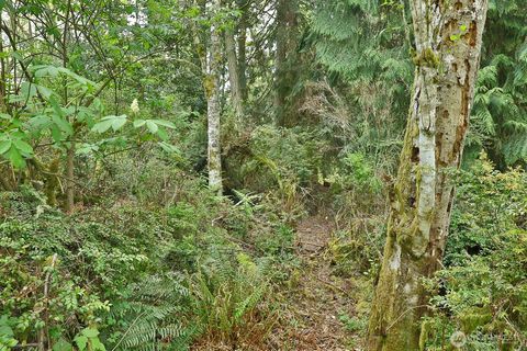 Photo of 0 XXX Goss Lake Road, Langley, WA 98260 (MLS # 2510509)