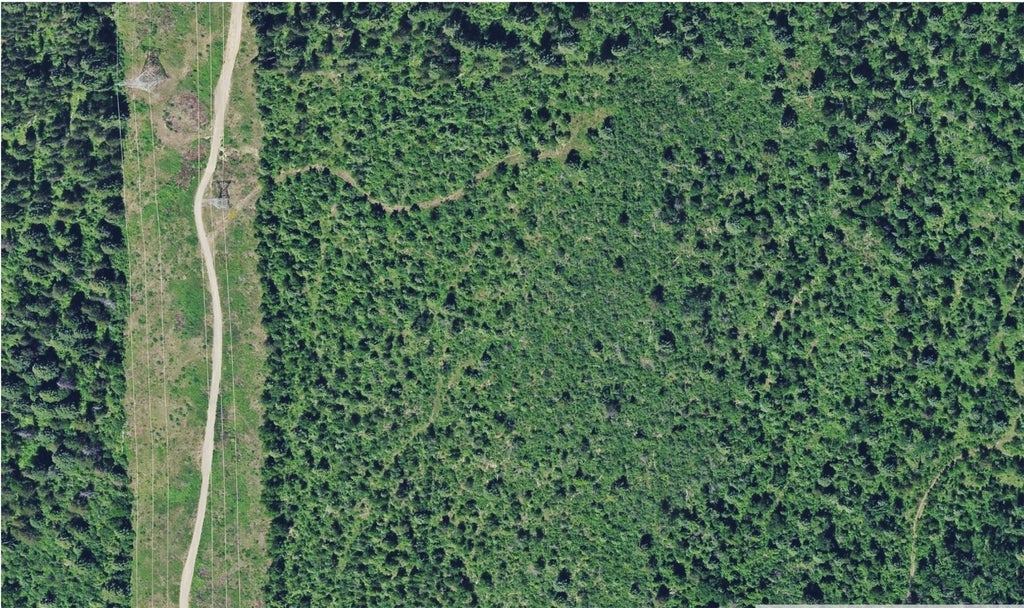 Photo of 1062 Lions Gate Road, Ione, WA 99139 (MLS # 2597869)
