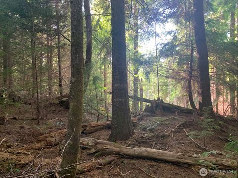 Photo of 1 Tract Parpala Road, Naselle, WA 98638 (MLS # 2357197)