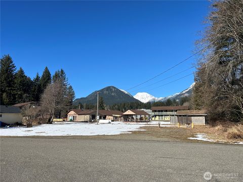 115 Willame Street E Packwood WA 98361